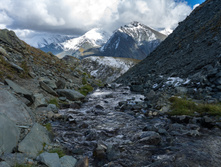 DSC05617.jpg