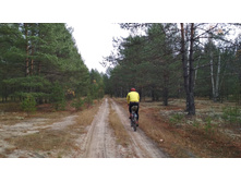 IMG 20171021 112928.jpg