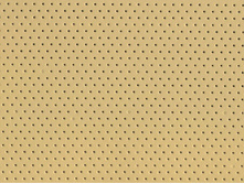 Holes Sand.jpg