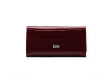 ������� Tosoco ����������� ���� B19-W01.jpg