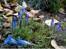 IMG 20171018 133342.jpg