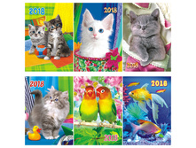 ��������� ��������� ����� ������ �������� �������, �������, ���������� ��-��� 2018�. 1,22.jpg