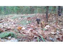 IMG 20171001 111921.jpg