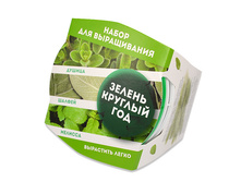 ����� �� 3-� ���� (������, ������, �������) 225 ���