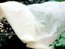 ���������� ������������� ������� ��� ������� ������� ��� � ������ ���������� - ����� 50 �. ����� 2 �. ������ - 3305 ���..jpg