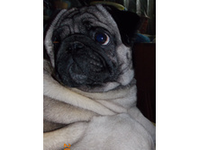 ��,������))))))