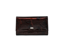 ������� Tosoco ����������� ���� F24-W05.JPG