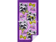 17C-7 ����.jpg