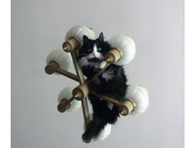 �������(��� �� ������)