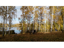 IMG 20171007 130923.jpg