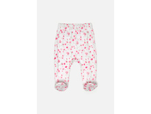 22054150006   Turmeric1        .jpg