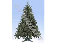 ���\�������: 451-769 ���� �������� 150�� /�����/ 2 150,00 ���. �����: �����