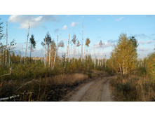 IMG 20171007 162137.jpg