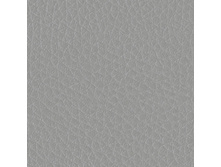 Holst LightGrey.jpg