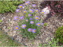 ����� ����������