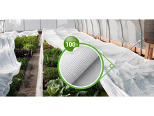 ����� �ģ� �������� (��������� ��������) ��������