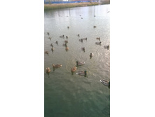 WP 20171024 09 20 04 Pro.jpg