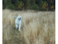 ����� ���� ���� ������