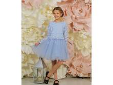 ������ ��� ������, 01007005golub 1.jpg