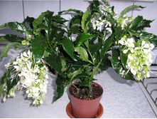 ������������ ������- ������ �������� .....