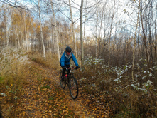 P 20171021 150903.jpg