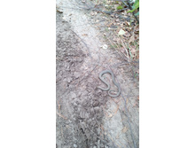 IMG 20171001 112408.jpg