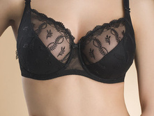 ����������� Rendezvous RB6013.