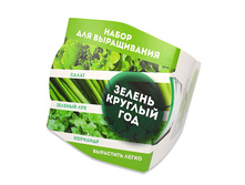 ����� �� 3-� ���� (�����, ��̣��� ���, ��������) 225 ���