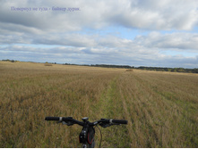DSCN4468.JPG