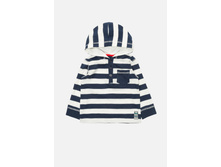 22150100017   Musca   �����(����).jpg