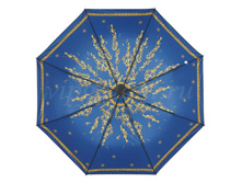 Zont-zhenskiy-342-steki-ame-3-sl-s-a-8-spits-nabivnoy 6.jpg