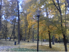 IMG 20130208 202105.jpg