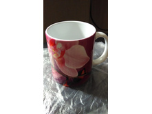 IMG 20171015 113738.jpg