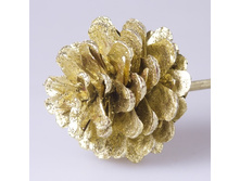 ������ ����� ������ 85�.jpg