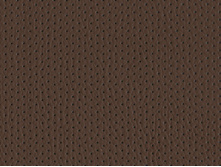 Holes Shocolate.jpg