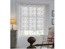 ��������� ���� �����