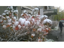 WP 20171023 09 15 08 Pro.jpg