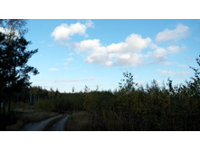 IMG 20171007 160845.jpg