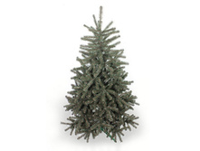 ���\�������: 550-692 ���� ��������� 180�� /�� ����/ 3 690,00 ���. �����: ��������� ���� � �������