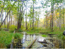 P 20170930 115711.jpg