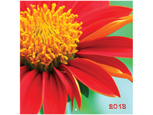 ��������� ������. �������. �� ������� 30�30��, 12�. OfficeSpace �����. �����, 2018�. 47,04.jpg