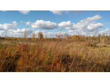 2017-10-08 13-36-15.JPG