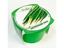 ������� ��� 76 ���