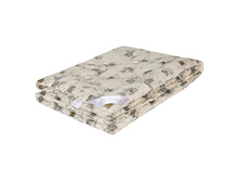 ���� ������ �������.jpg