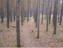 DSCN4454.JPG