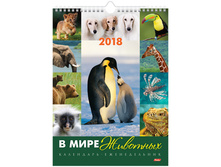 ���������-������������ ������. �������. �� ������ Hatber WEEK- � ���� ��������, 24�32, � ���, 2018 123,58.jpg