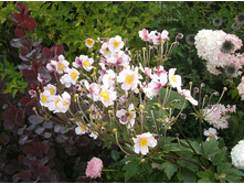 ������� �������