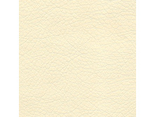 Holst Cream.jpg
