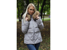 ������ 1520.jpg