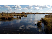 2017-10-08 13-19-04.JPG